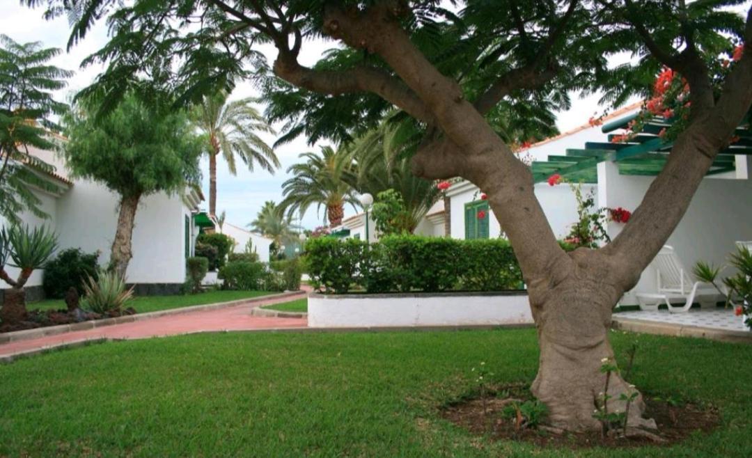 Maspalomas Dunas Golf エクステリア 写真